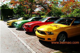 東營(yíng)租車(chē) 東營(yíng)汽車(chē)租賃 東營(yíng)租車(chē)服務(wù) 東營(yíng)租車(chē)公司,東營(yíng)租車(chē) 東營(yíng)汽車(chē)租賃 東營(yíng)租車(chē)服務(wù) 東營(yíng)租車(chē)公司生產(chǎn)廠家,東營(yíng)租車(chē) 東營(yíng)汽車(chē)租賃 東營(yíng)租車(chē)服務(wù) 東營(yíng)租車(chē)公司價(jià)格