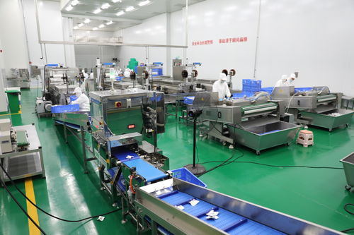 拜泉縣 技術(shù)咨詢賦能重點(diǎn)項(xiàng)目，全力開創(chuàng)建設(shè)新局面